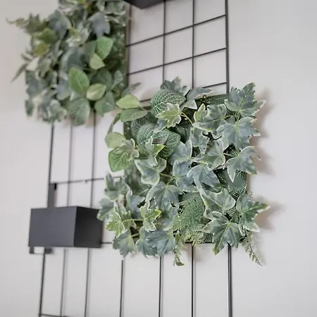 Nova Apartment